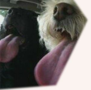 Meet your Posher, Christopher